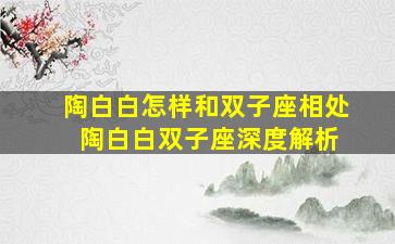 陶白白怎样和双子座相处 陶白白双子座深度解析